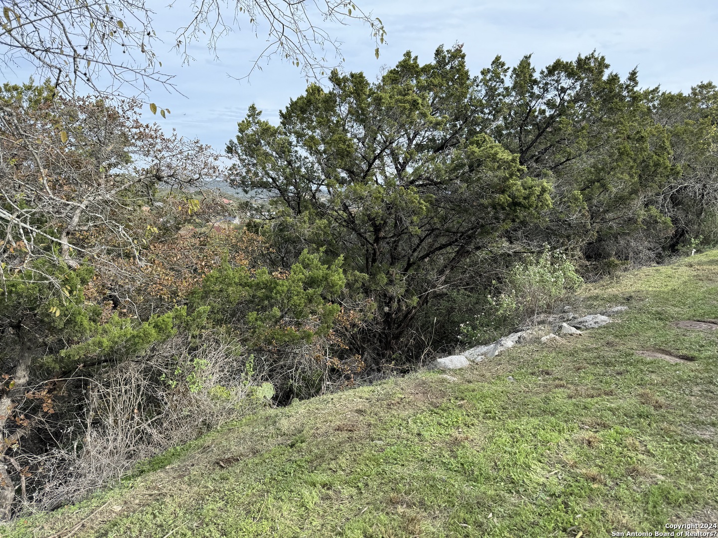 19314 Strauss San Antonio TX 78256
