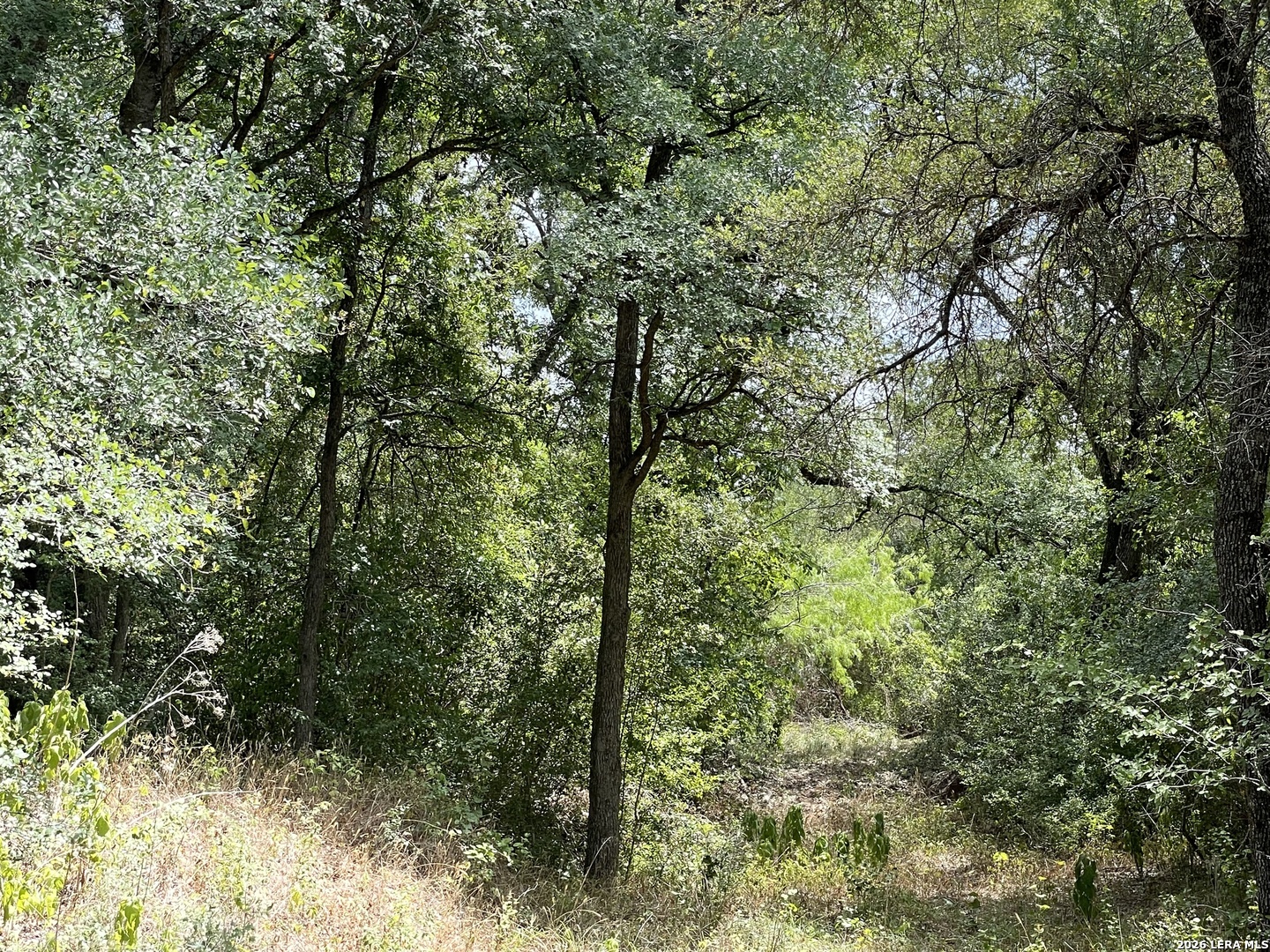 Tbd Hidden Pine Luling TX 78648