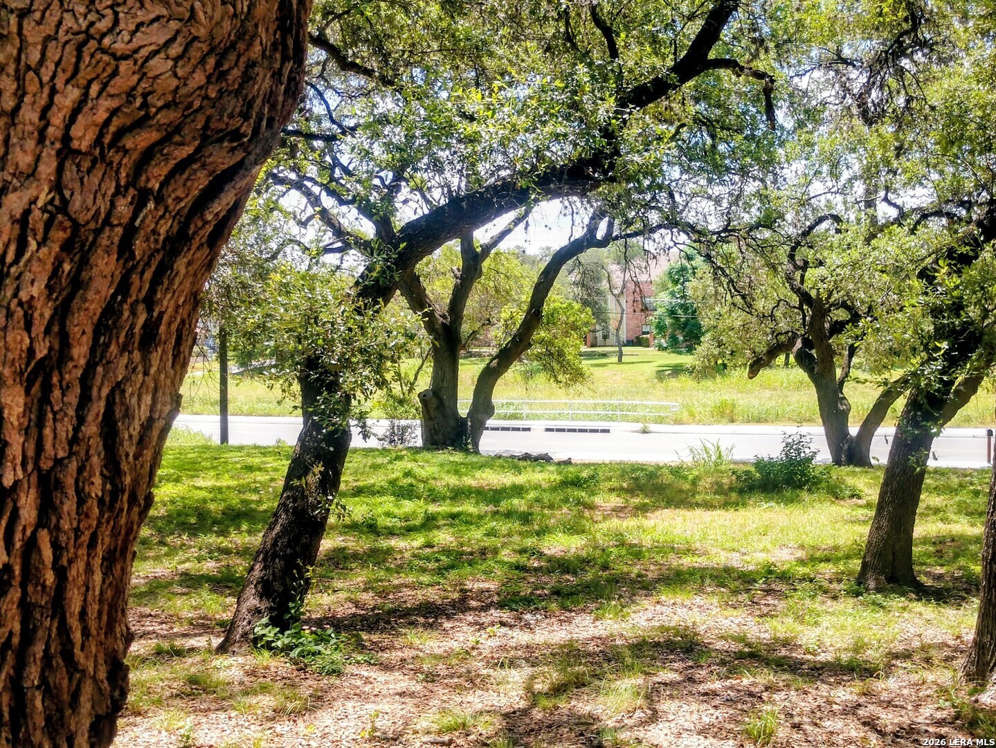 100 Krameria Castle Hills TX 78213