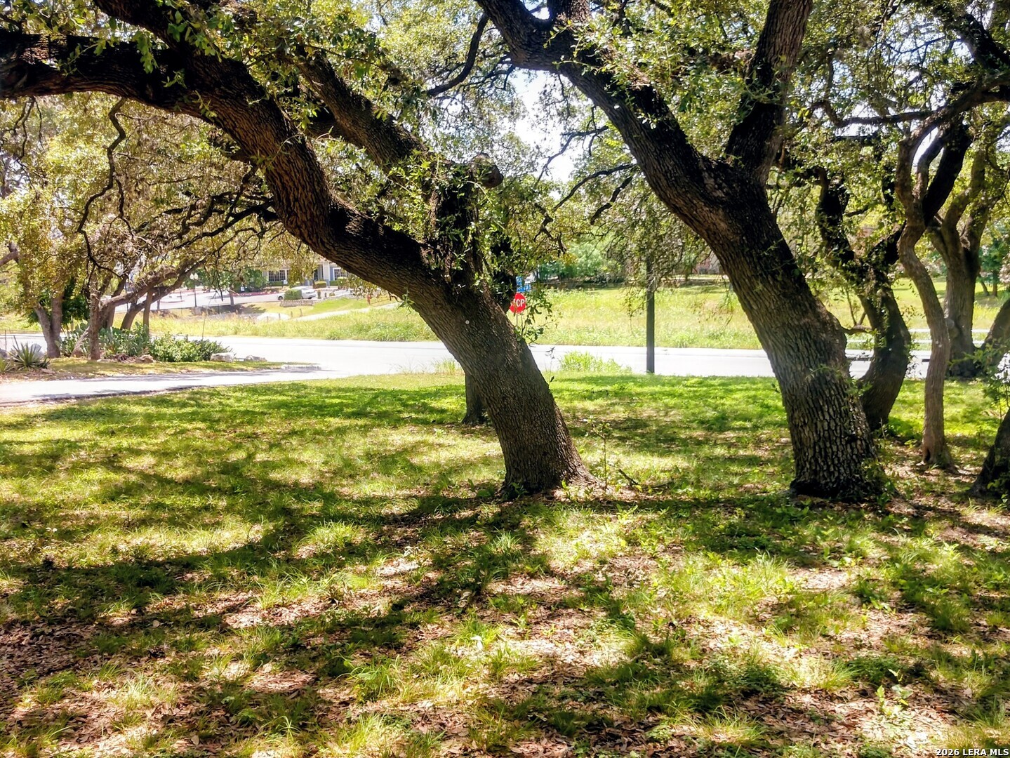 100 Krameria Castle Hills TX 78213