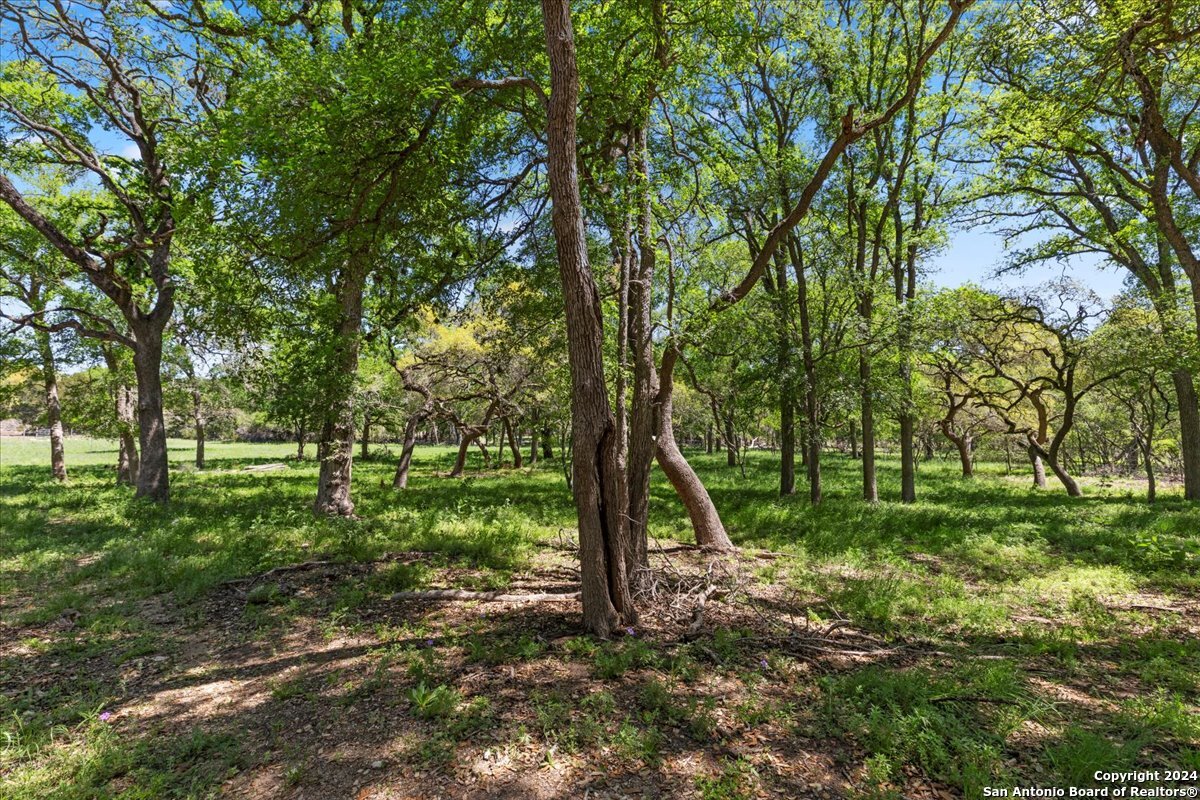 729 Rabbit Road Wimberley TX 78676