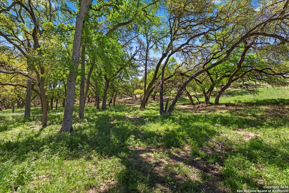 729 Rabbit Road Wimberley TX 78676