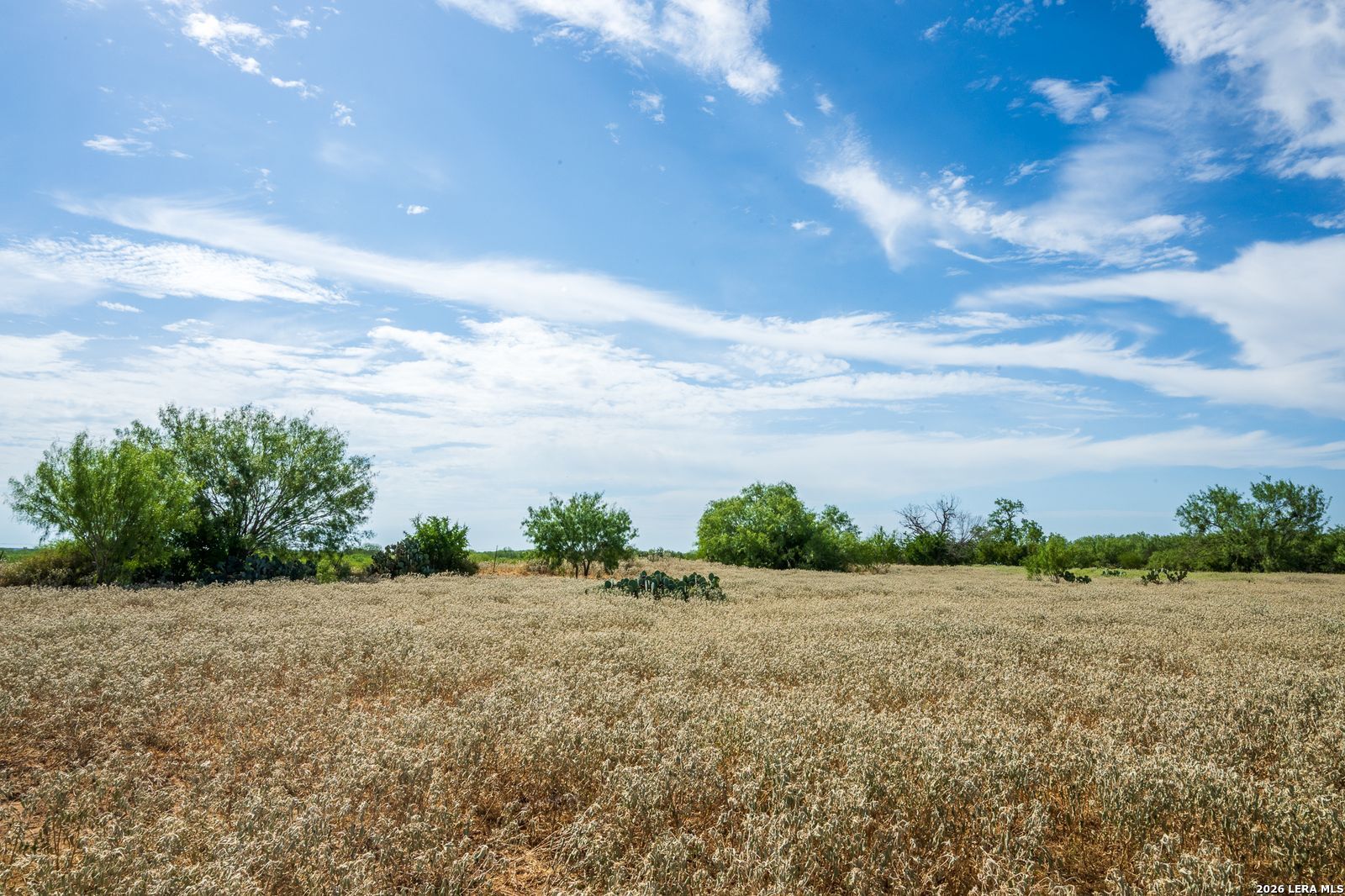FM2200 2200 Yancey TX 78886