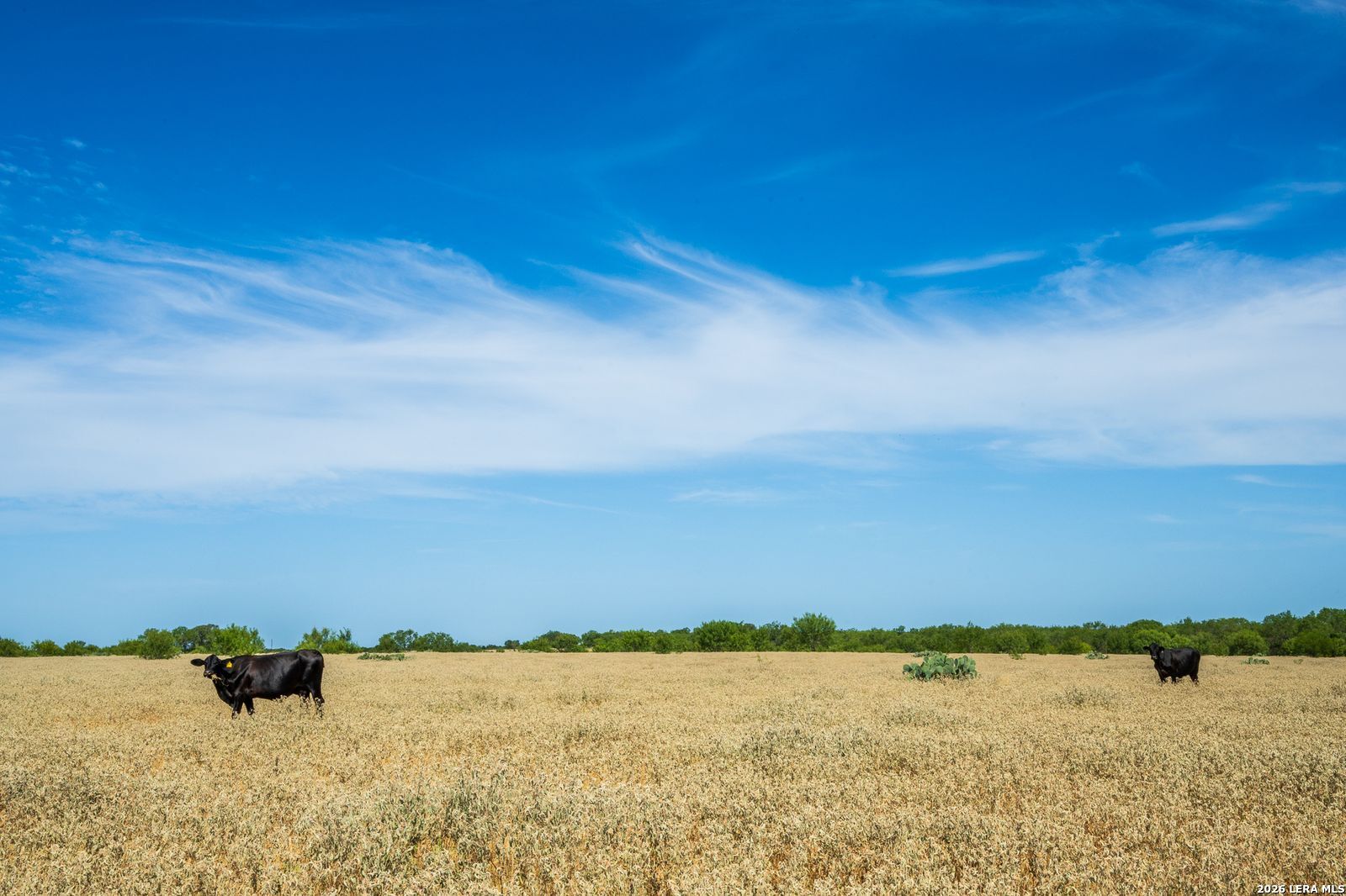 FM2200 2200 Yancey TX 78886