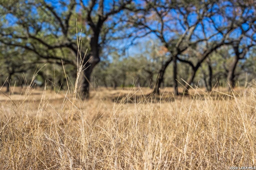 4772-1 County Road 340 Burnet TX 76905