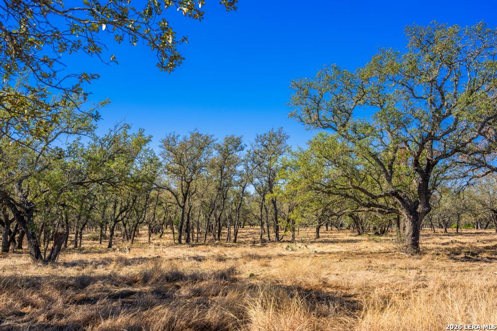 4772-1 County Road 340 Burnet TX 76905