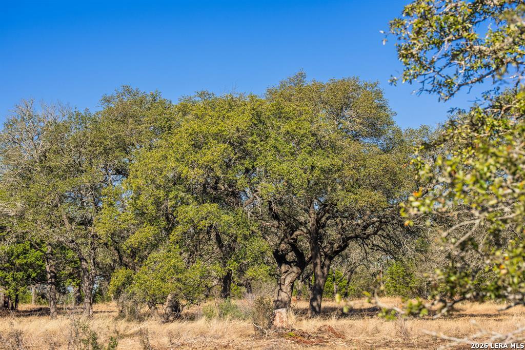 4772-1 County Road 340 Burnet TX 76905