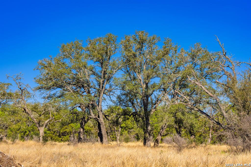 4772-1 County Road 340 Burnet TX 76905
