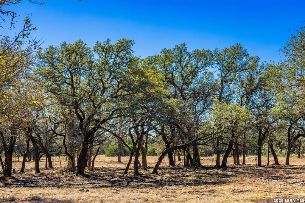 4772-1 County Road 340 Burnet TX 76905