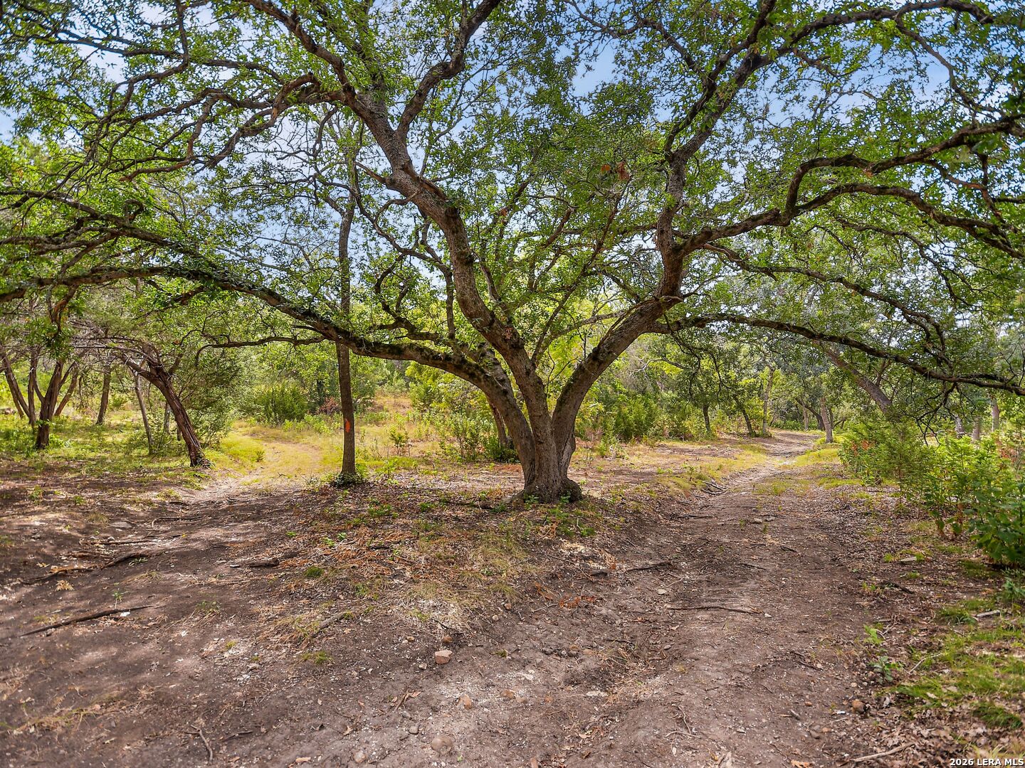 Lot 14 Thunder Canyon Boerne TX 78006