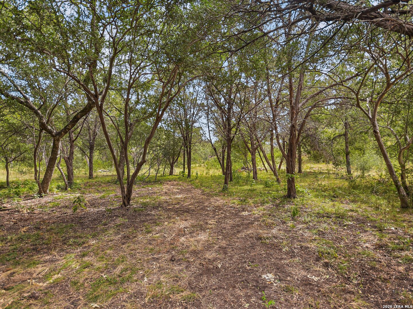 Lot 14 Thunder Canyon Boerne TX 78006