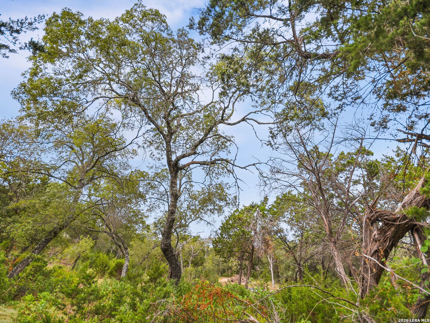 Lot 14 Thunder Canyon Boerne TX 78006