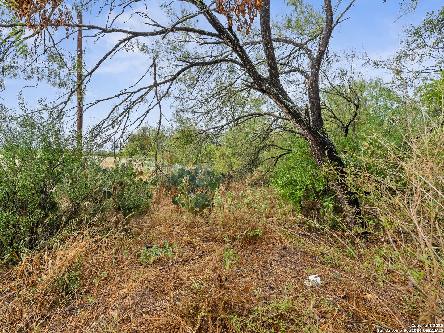 17321 Jackel Road Von Ormy TX 78073