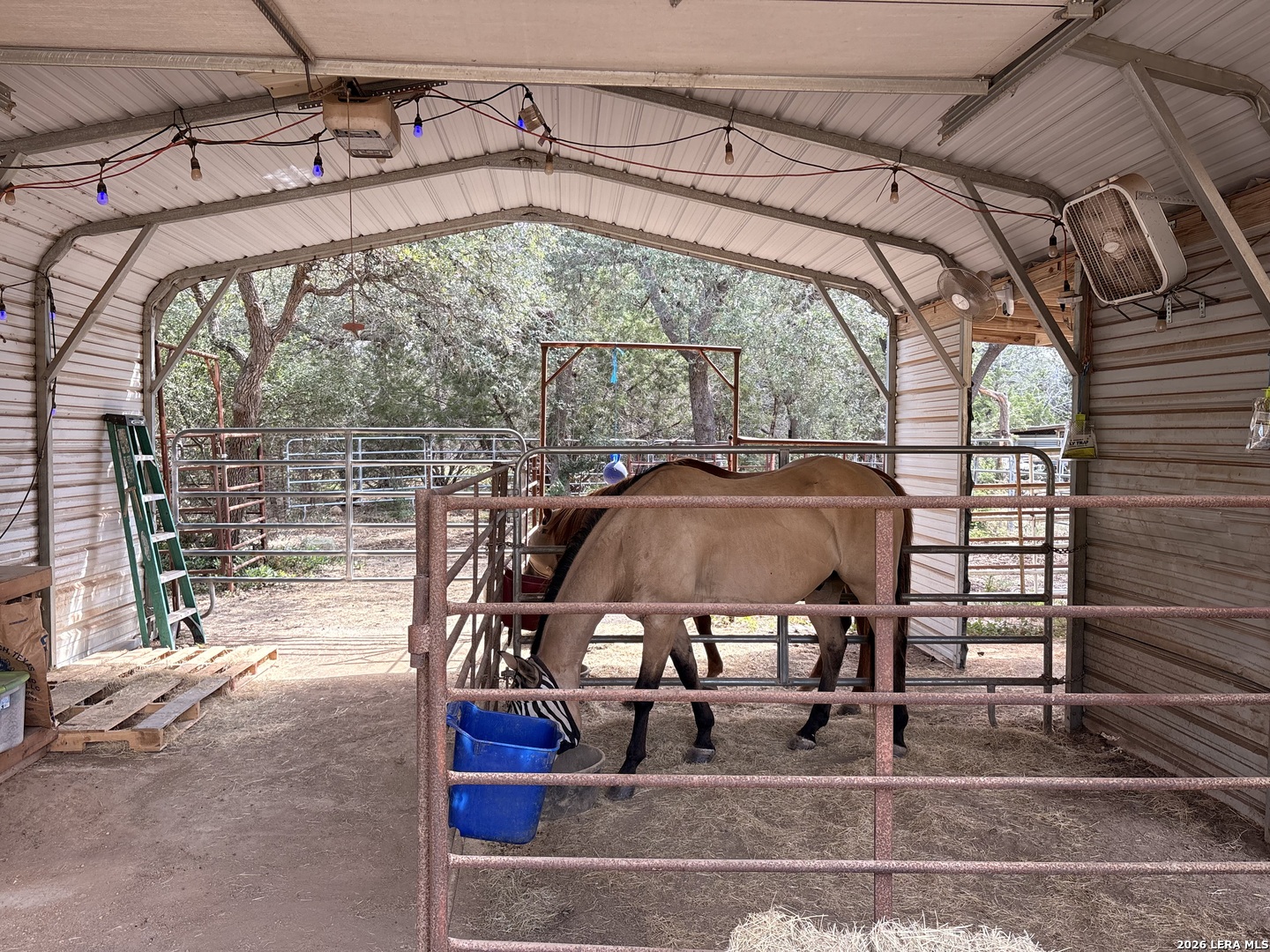 233 Rust Ranch Road Blanco TX 78606