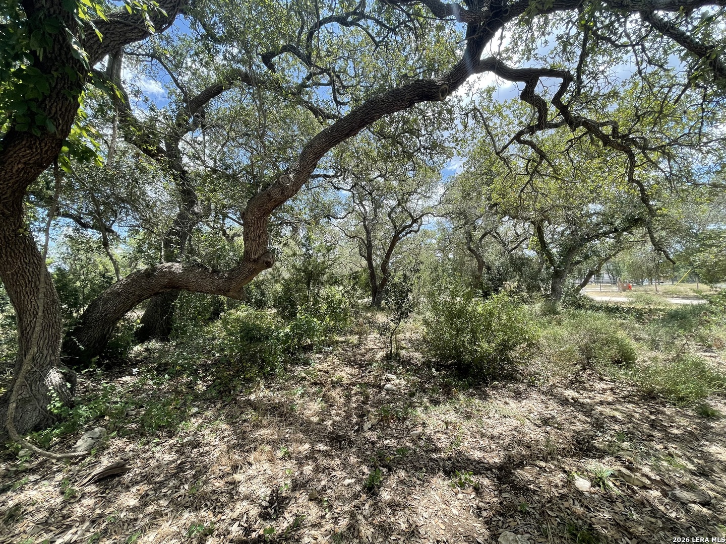 233 Rust Ranch Road Blanco TX 78606