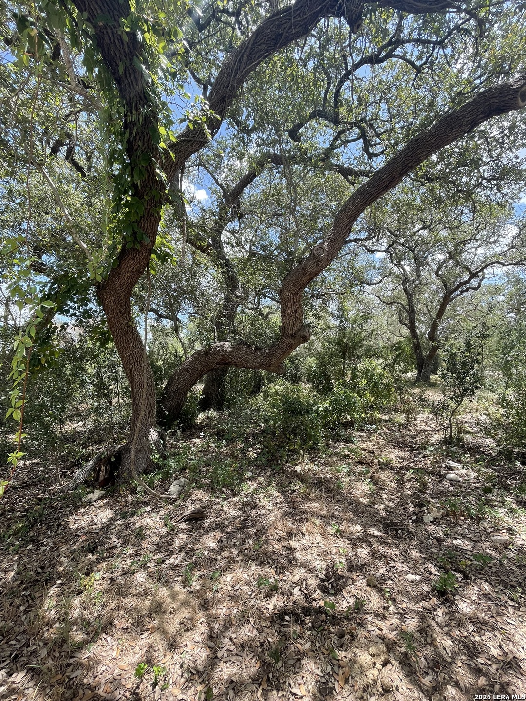 233 Rust Ranch Road Blanco TX 78606
