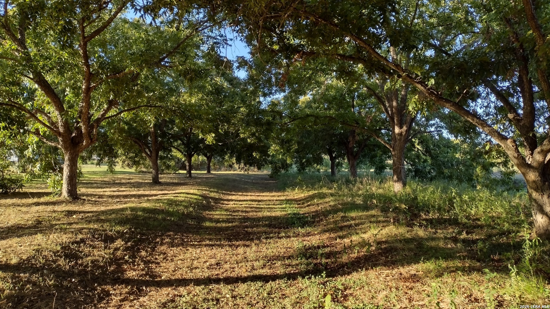 263 Krams Creek Road Seguin TX 78155
