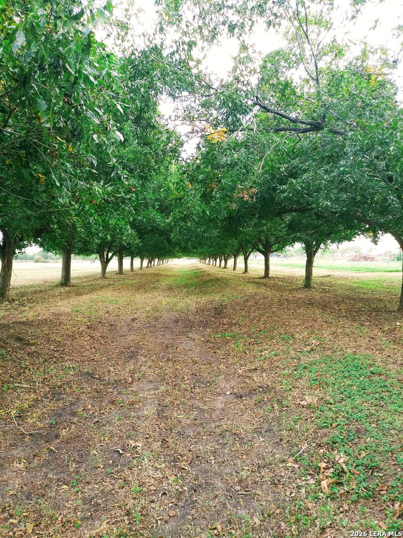 263 Krams Creek Road Seguin TX 78155