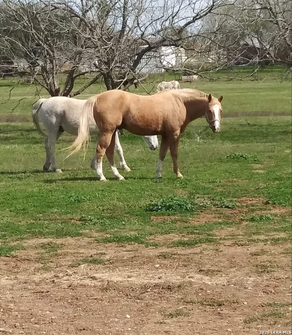 263 Krams Creek Road Seguin TX 78155