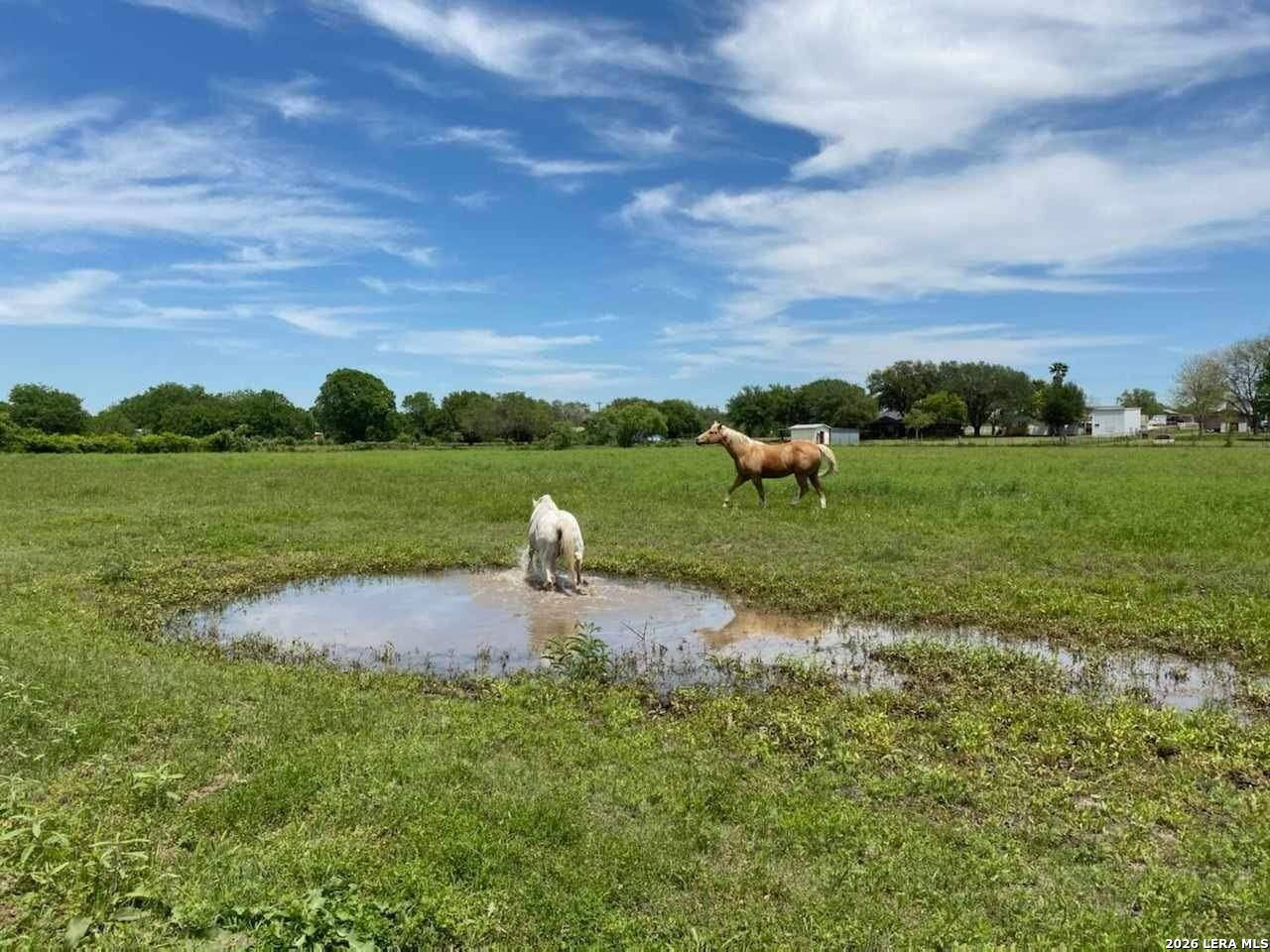 263 Krams Creek Road Seguin TX 78155