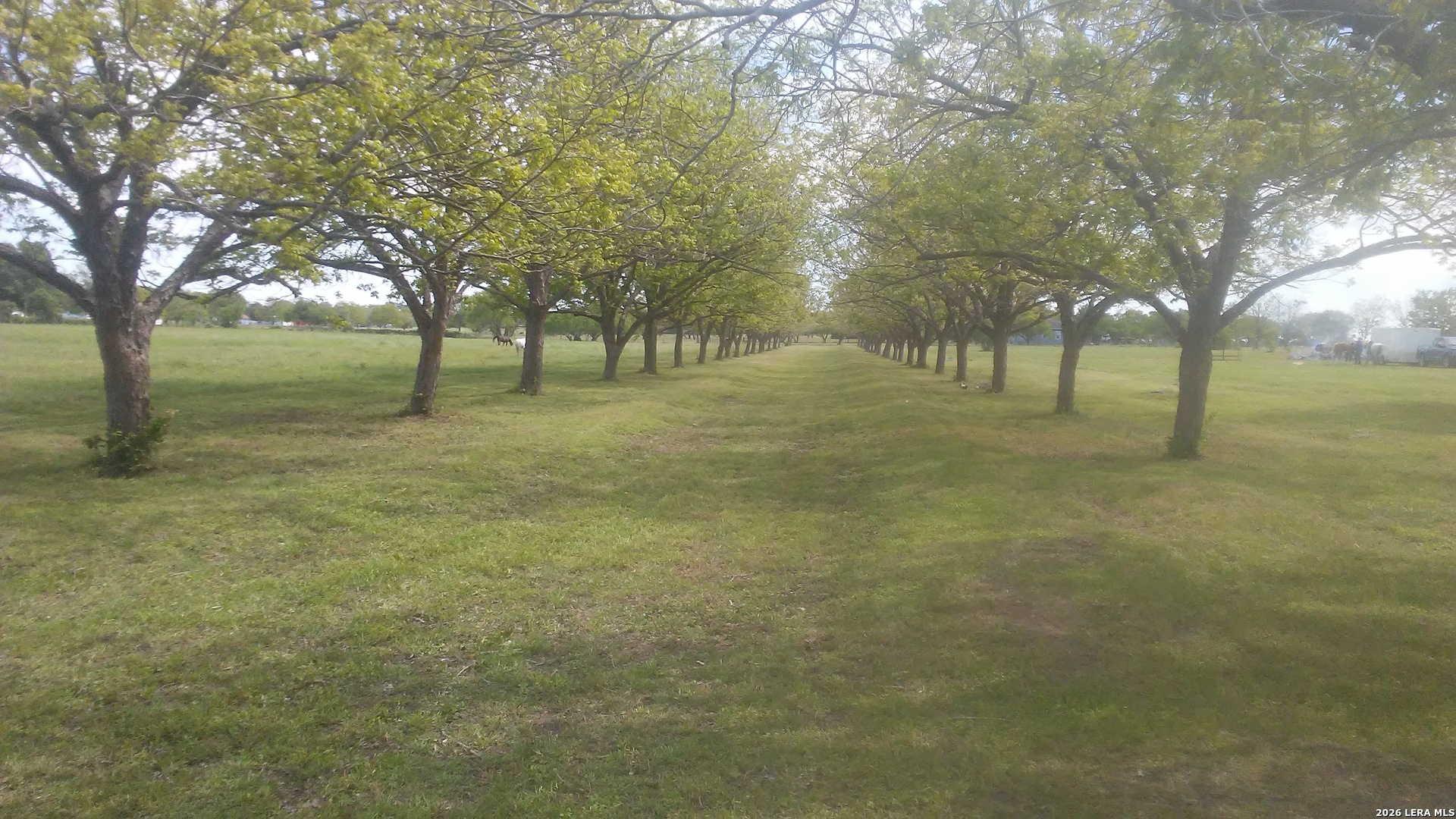 263 Krams Creek Road Seguin TX 78155