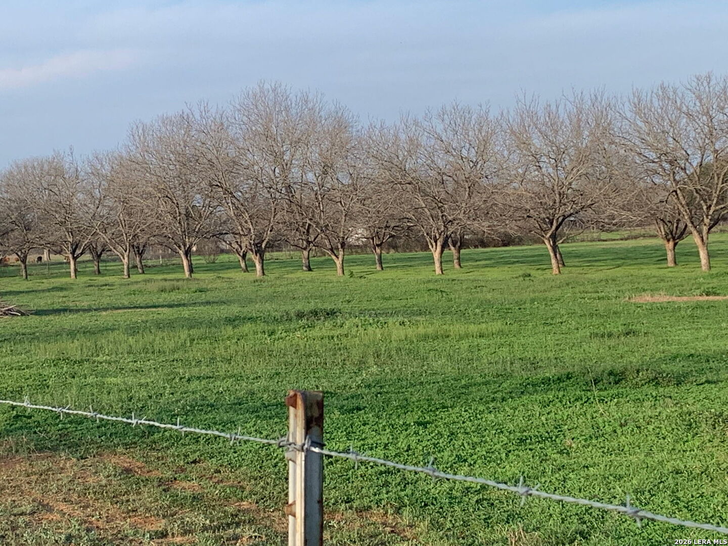 263 Krams Creek Road Seguin TX 78155