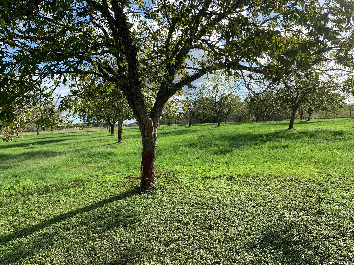 263 Krams Creek Road Seguin TX 78155
