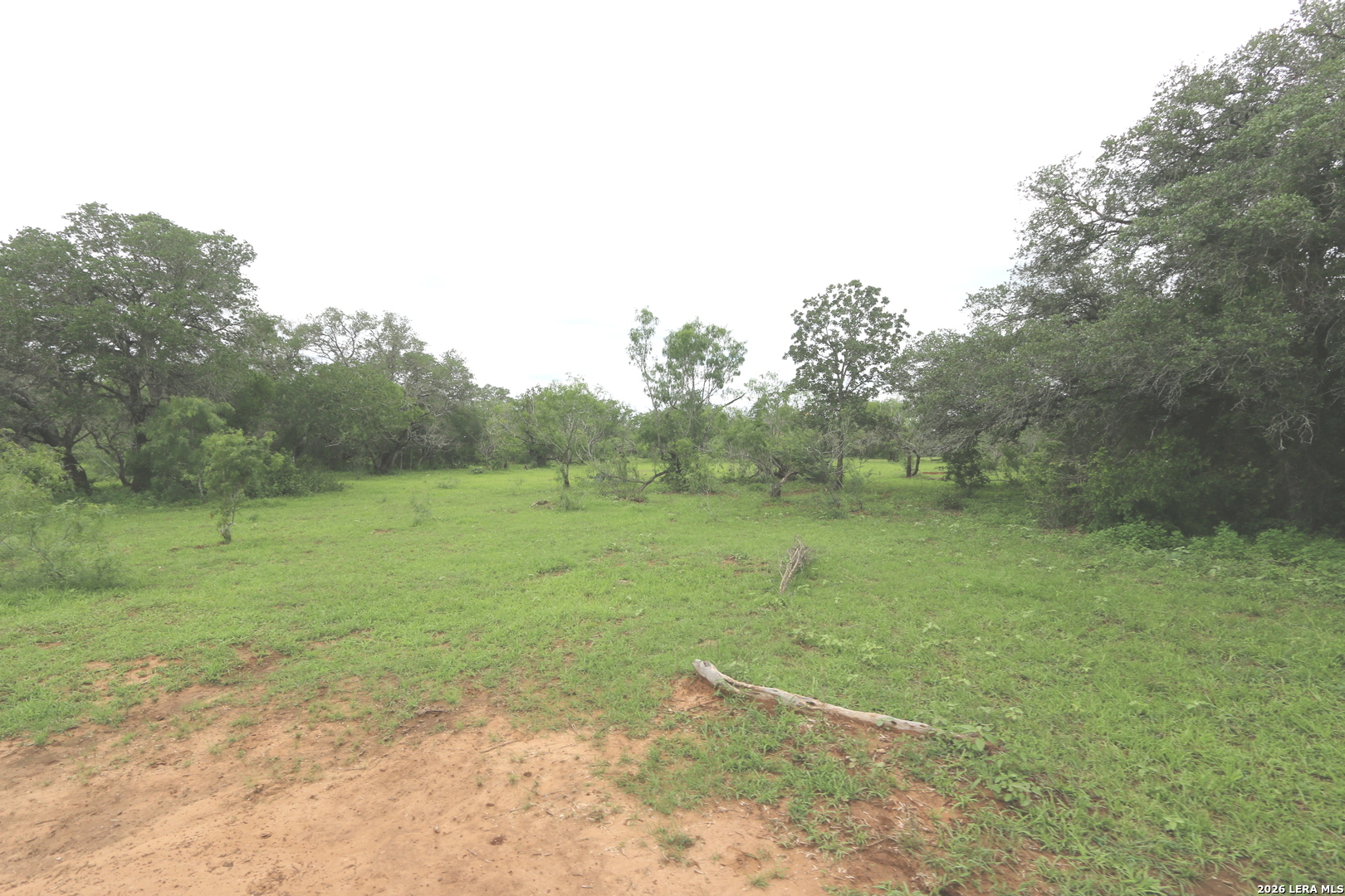 2257 County Road 475 Nixon TX 78140