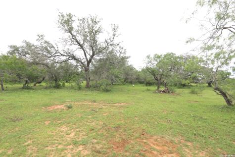 2257 County Road 475 Nixon TX 78140