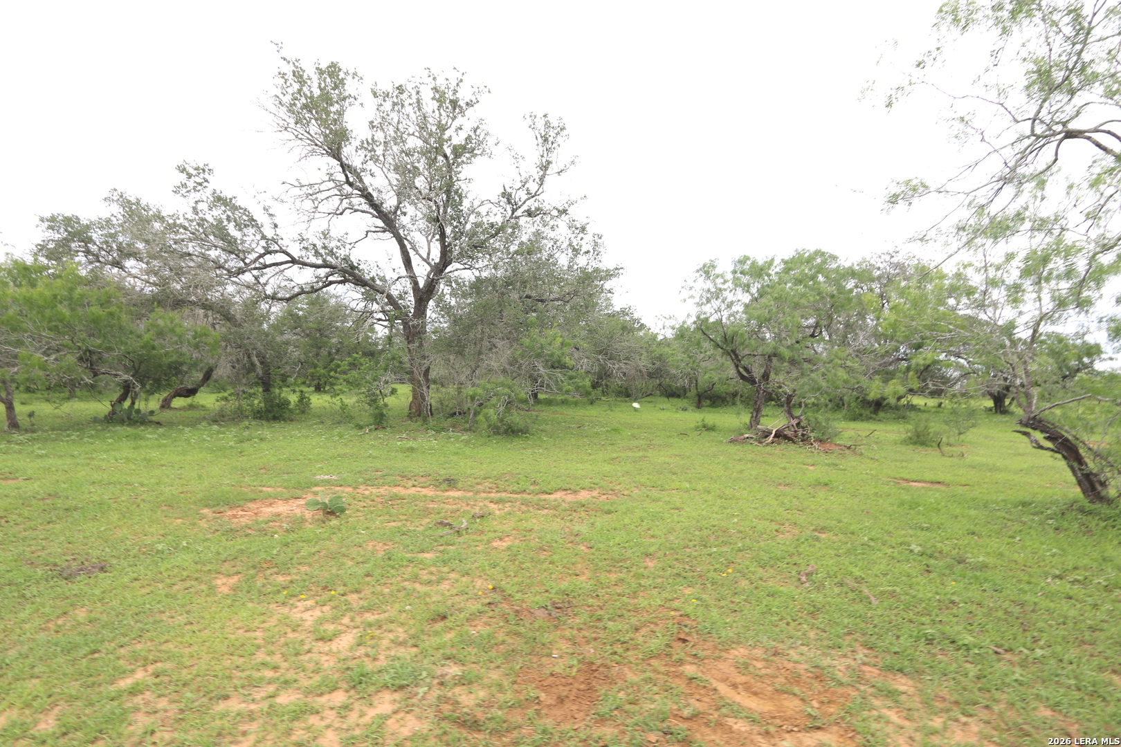 2257 County Road 475 Nixon TX 78140