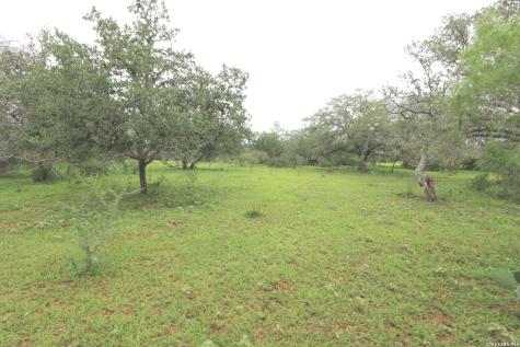 2257 County Road 475 Nixon TX 78140