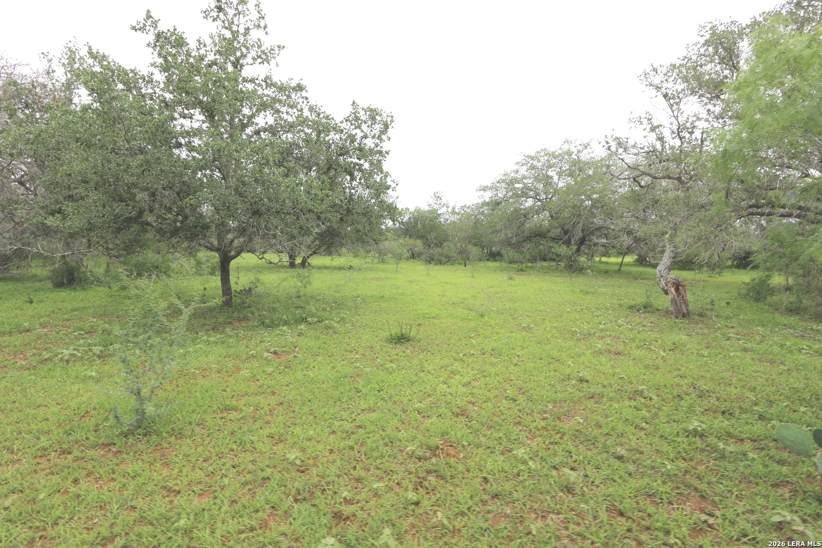 2257 County Road 475 Nixon TX 78140