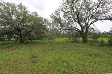 2257 County Road 475 Nixon TX 78140