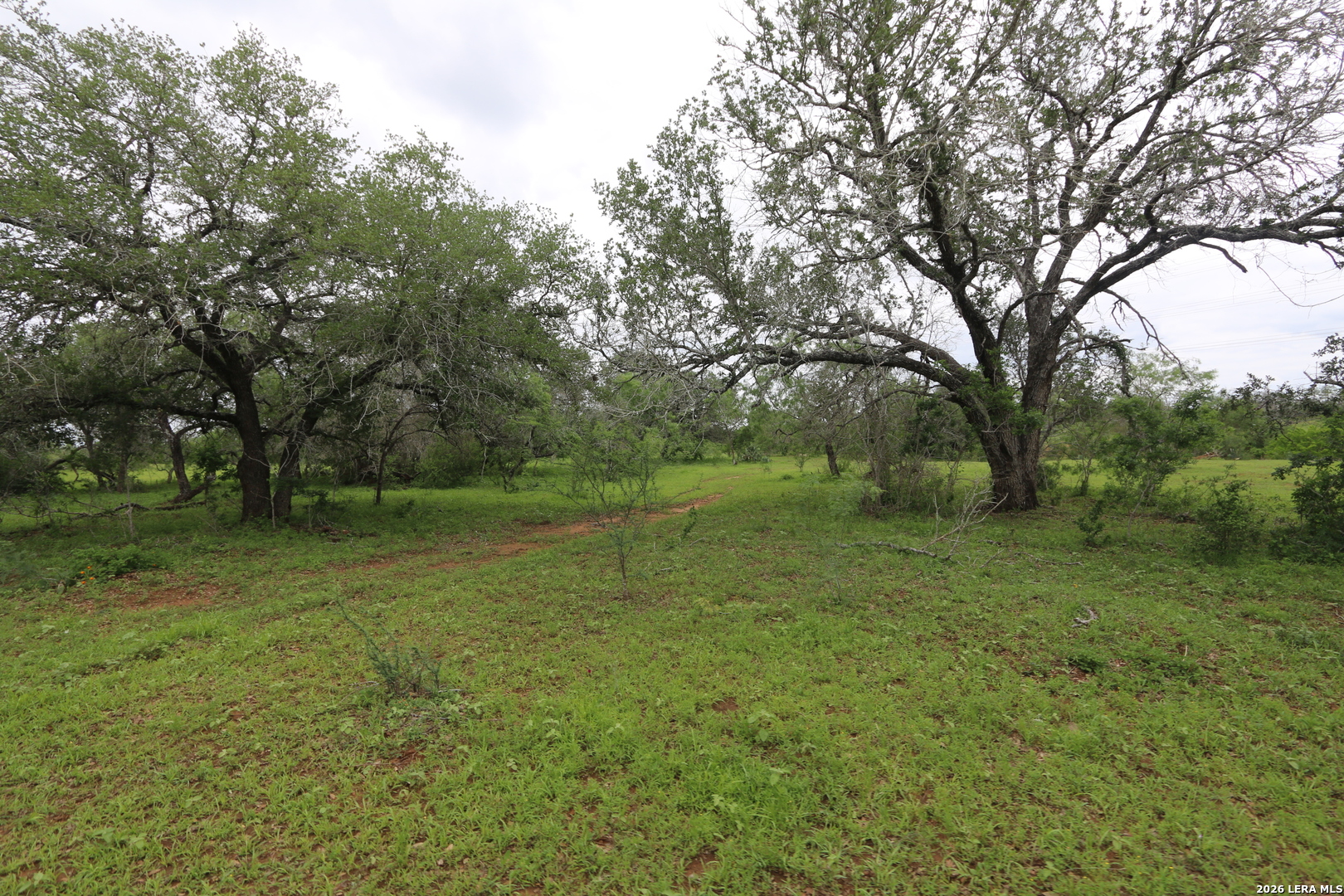 2257 County Road 475 Nixon TX 78140