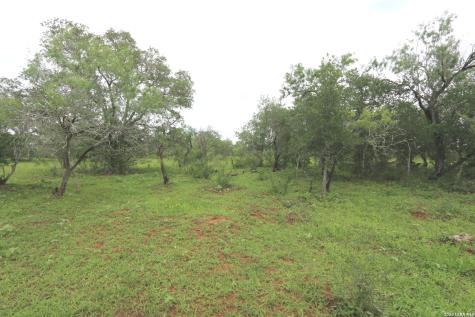2257 County Road 475 Nixon TX 78140