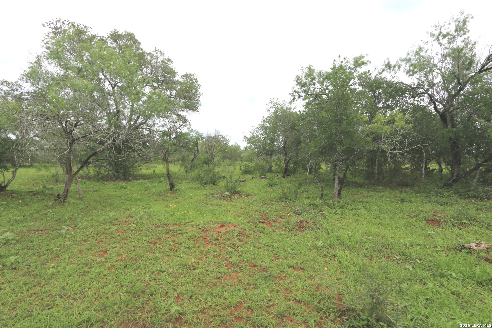 2257 County Road 475 Nixon TX 78140