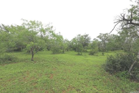 2257 County Road 475 Nixon TX 78140
