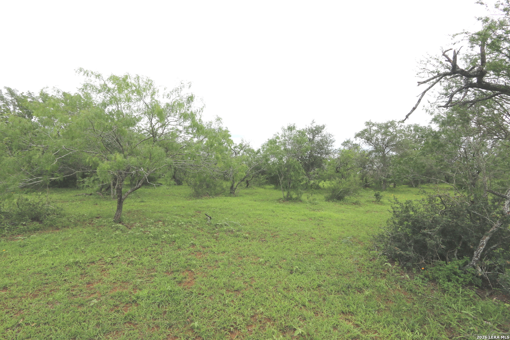 2257 County Road 475 Nixon TX 78140