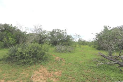 2257 County Road 475 Nixon TX 78140