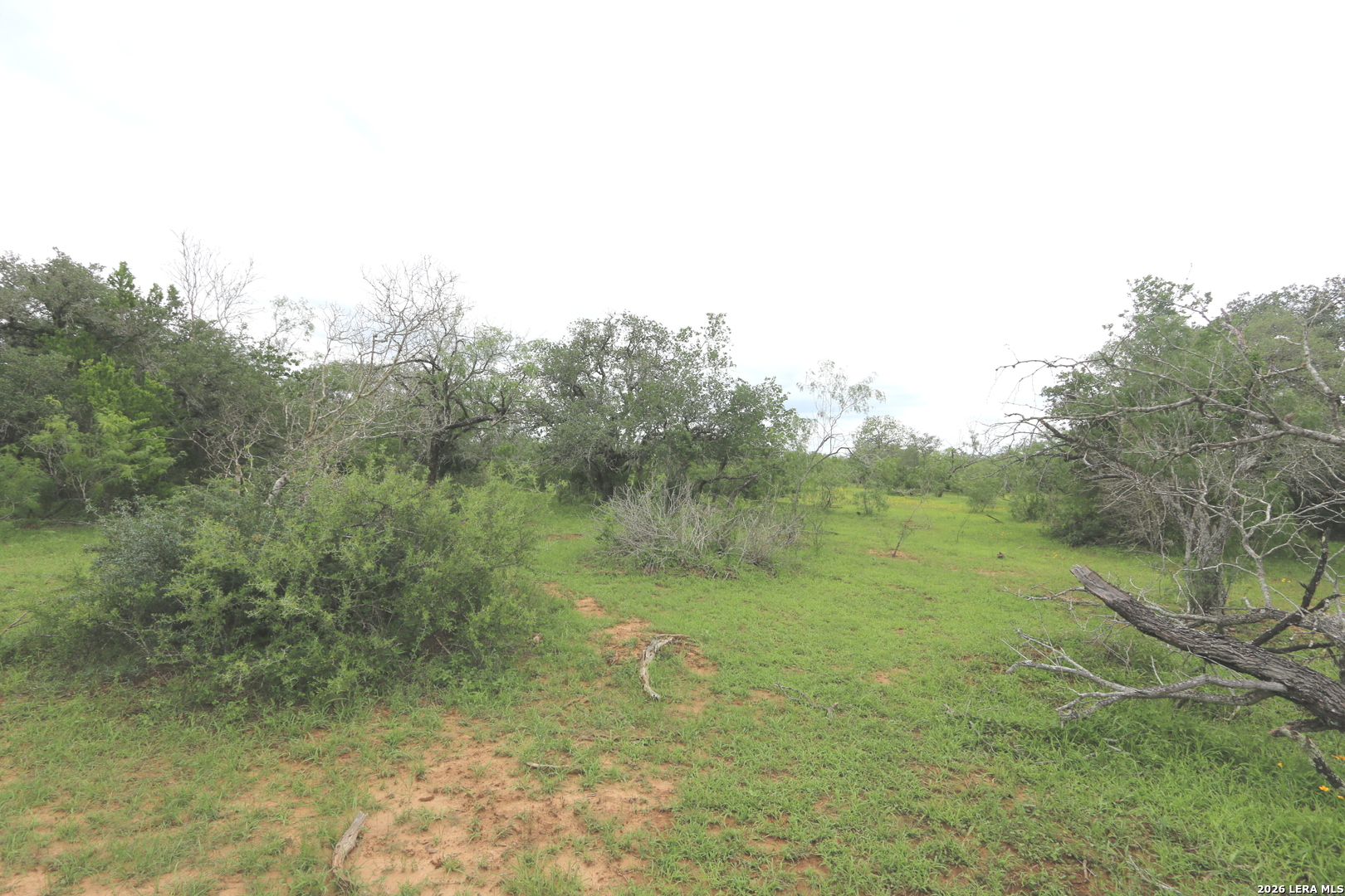2257 County Road 475 Nixon TX 78140