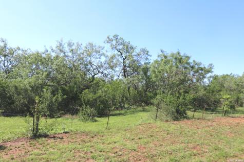 2257 County Road 475 Nixon TX 78140