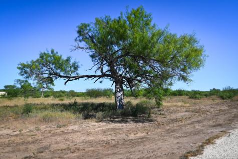 Lot 24 County Road 2500 Bigfoot TX 78005