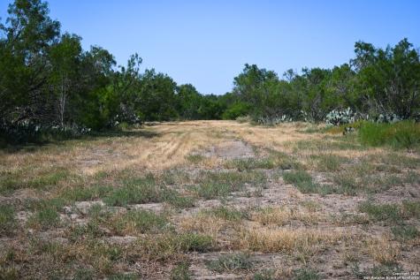 Lot 24 County Road 2500 Bigfoot TX 78005