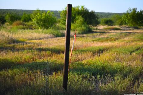 Lot 24 County Road 2500 Bigfoot TX 78005