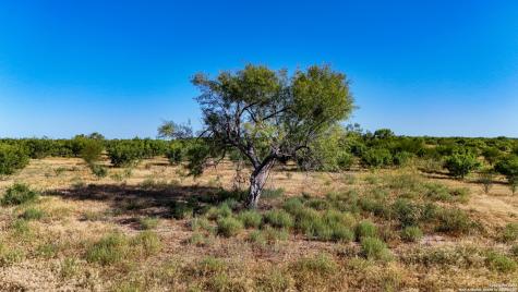 Lot 24 County Road 2500 Bigfoot TX 78005