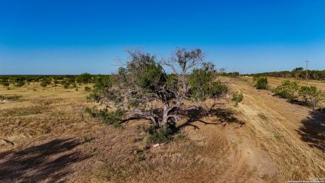 Lot 24 County Road 2500 Bigfoot TX 78005