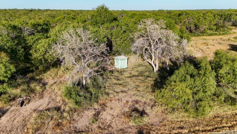 Lot 24 County Road 2500 Bigfoot TX 78005