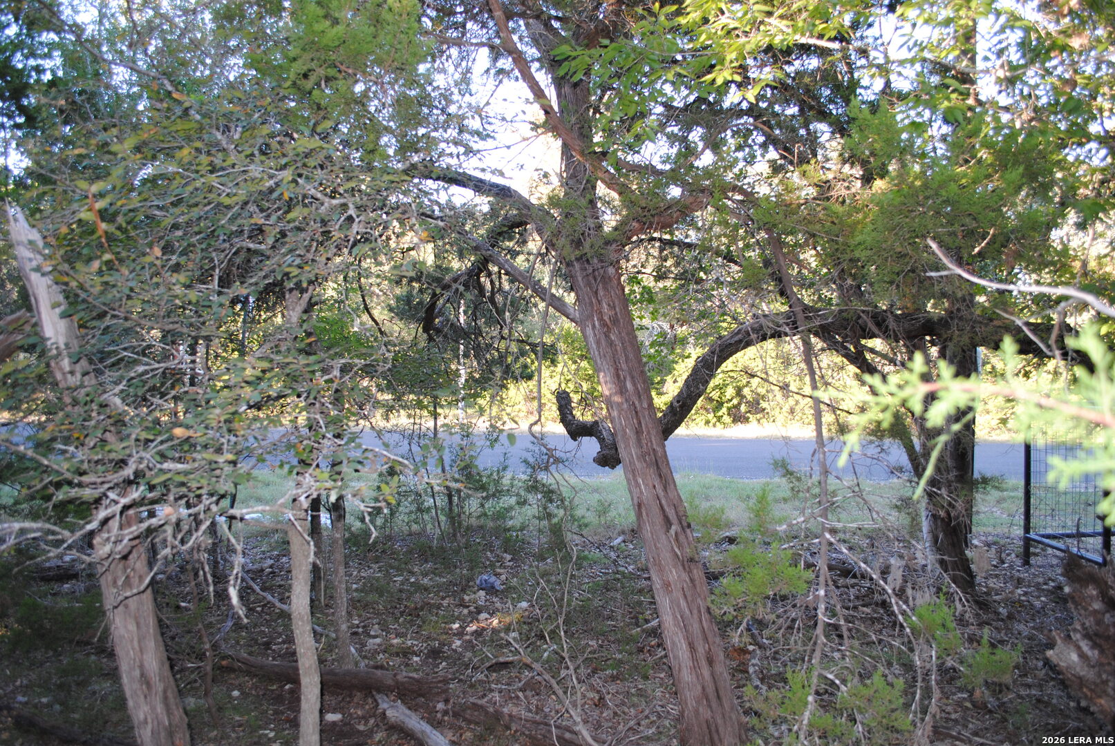 1334194 Rye San Antonio TX 78260