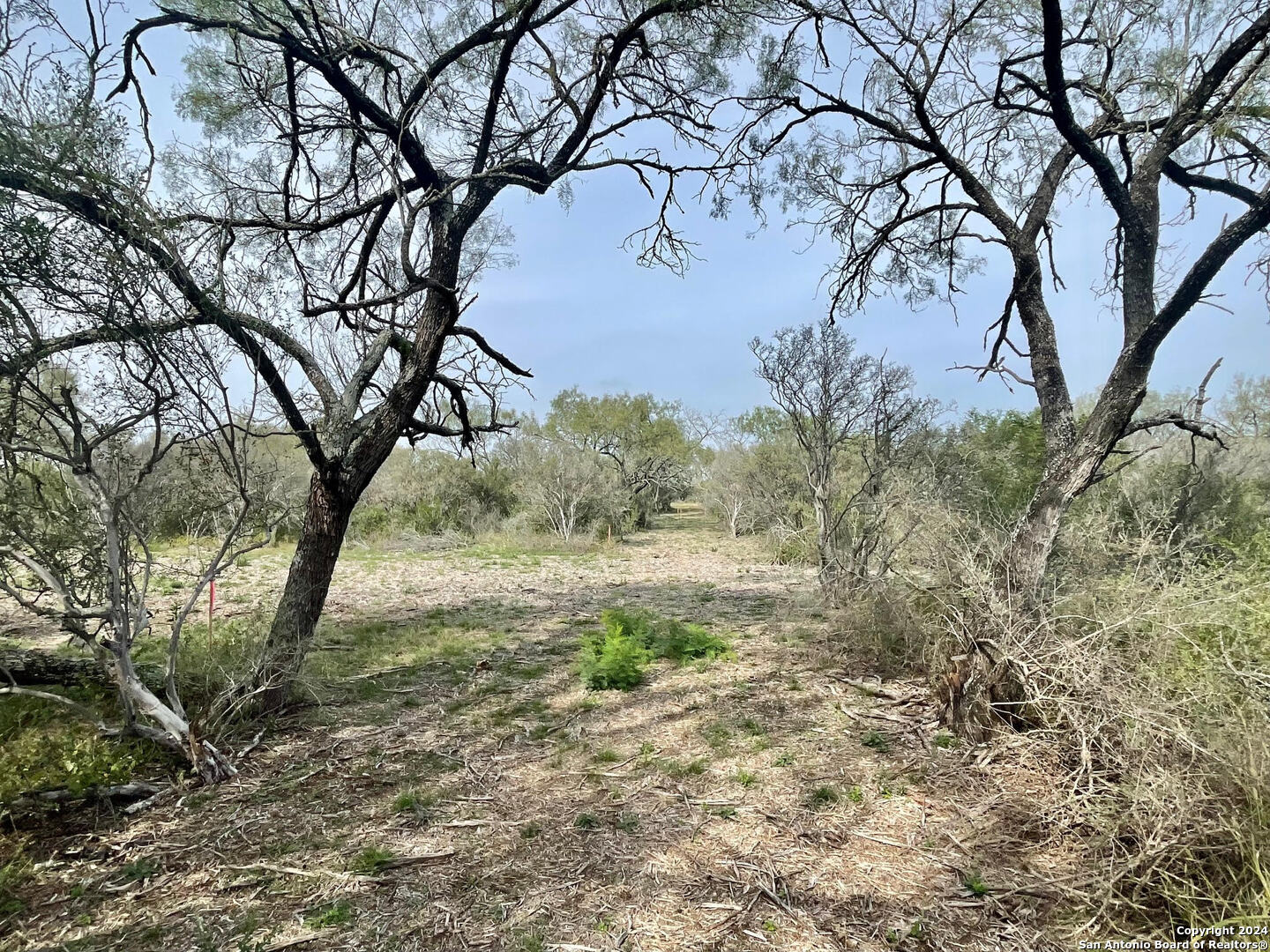 173 County Road 1670 Moore TX 78057