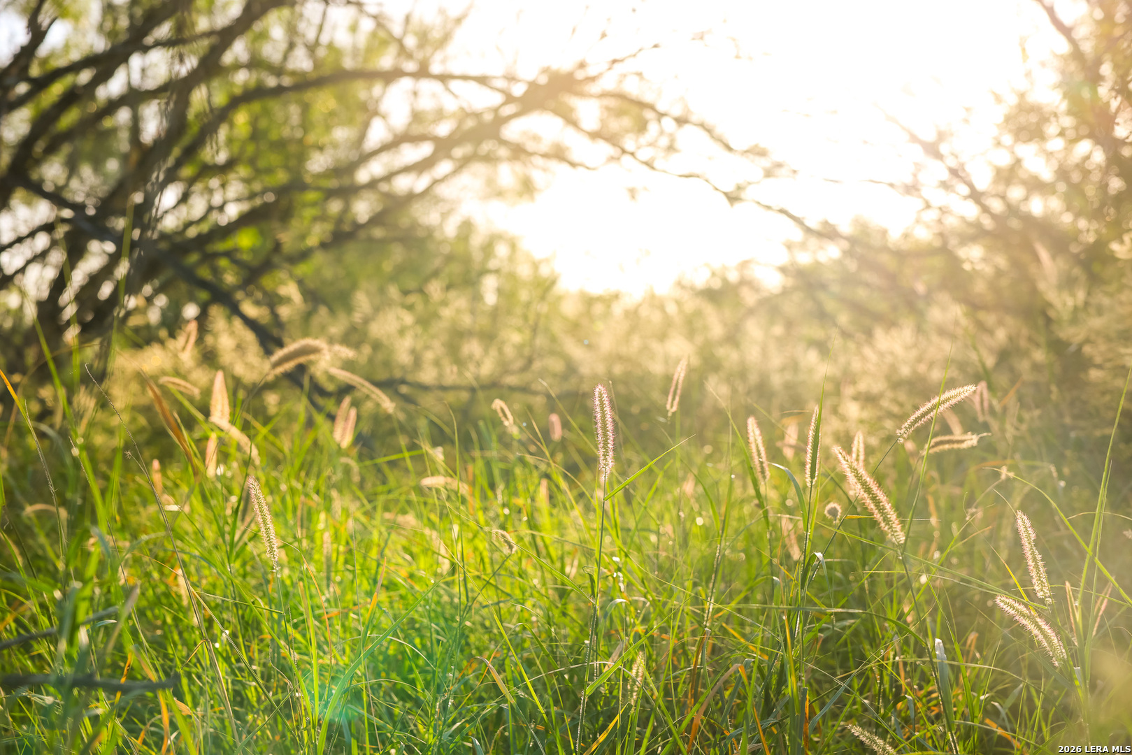 1909 Hubbard Road Cotulla TX 78014